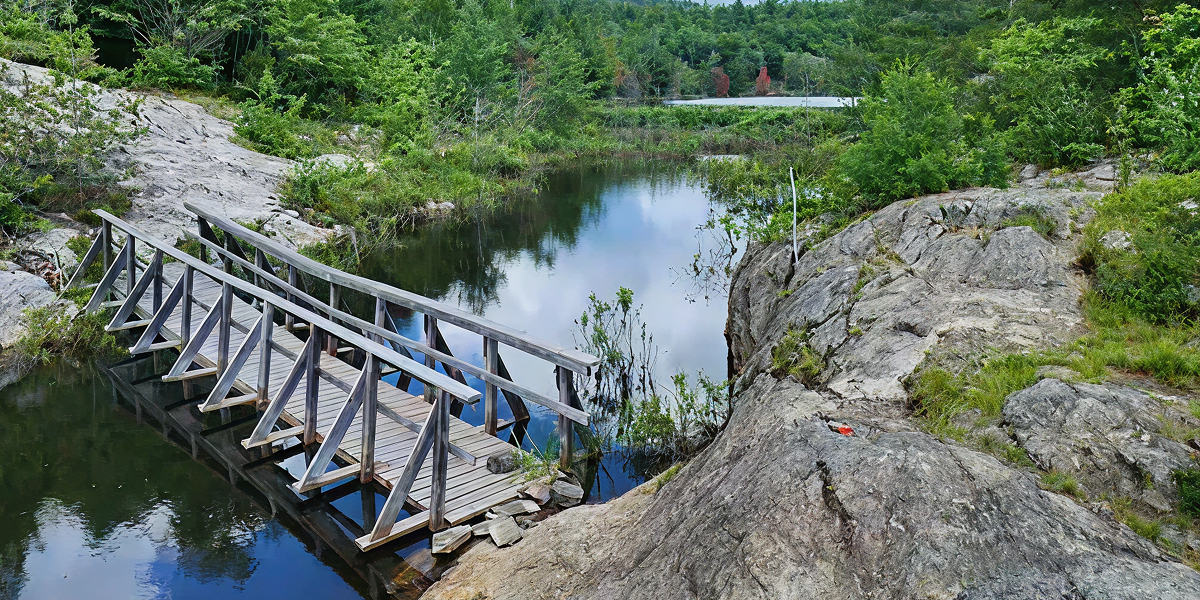 Unique Weekend Trips for Viewing Ontario Wildlife