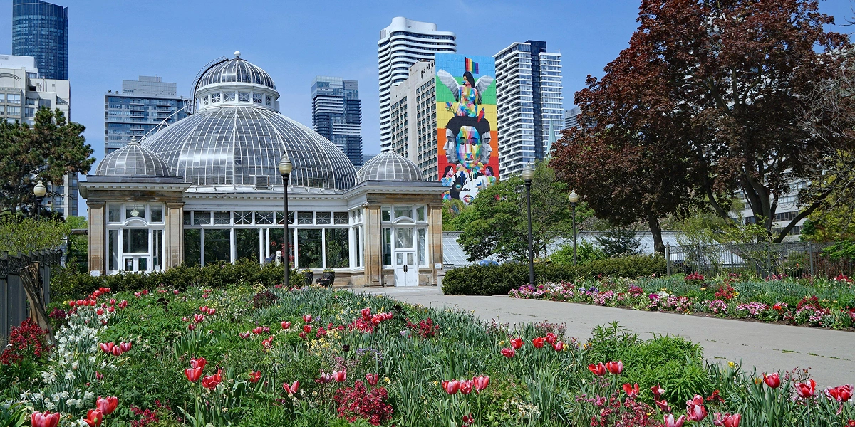 5 Things to Do for Free in Toronto