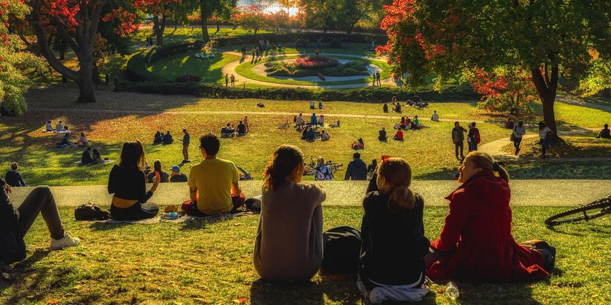 Where to Catch Views of Fall Foliage in Toronto