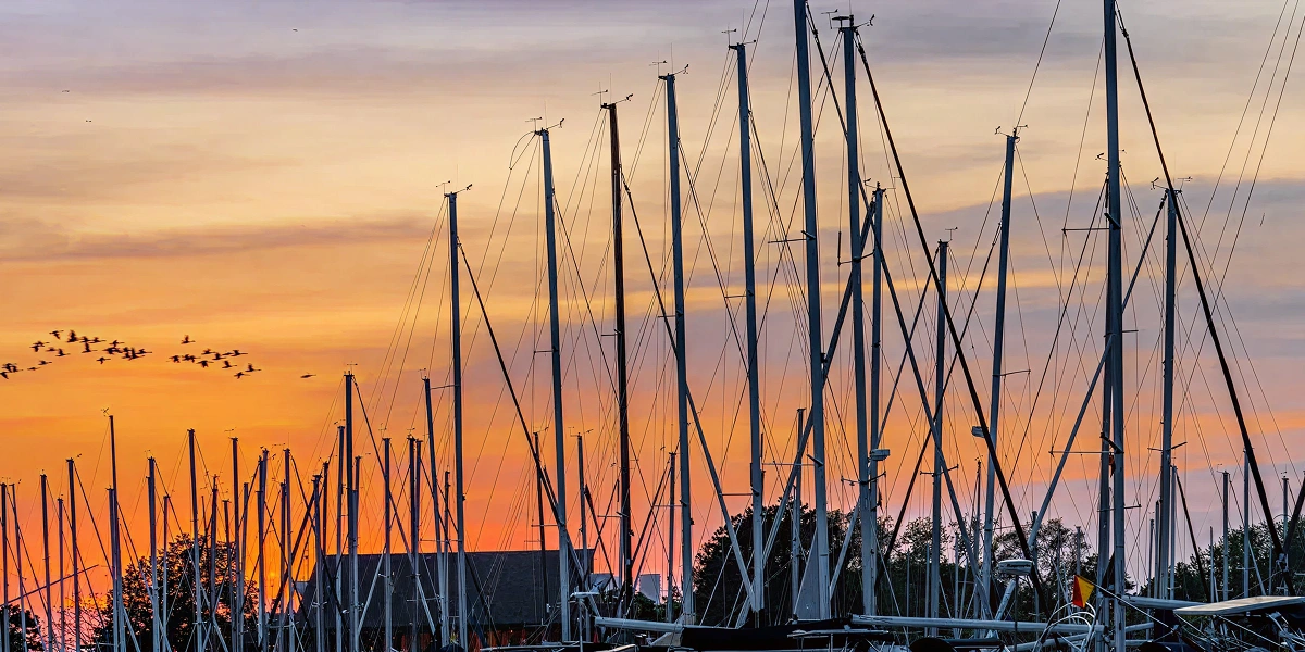 A Perfect Day at Woodbine Park and Beach